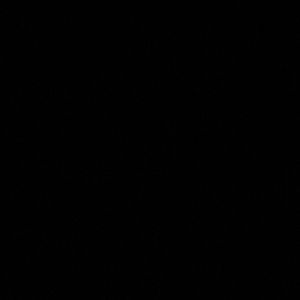 Meet your Posher, Rocco